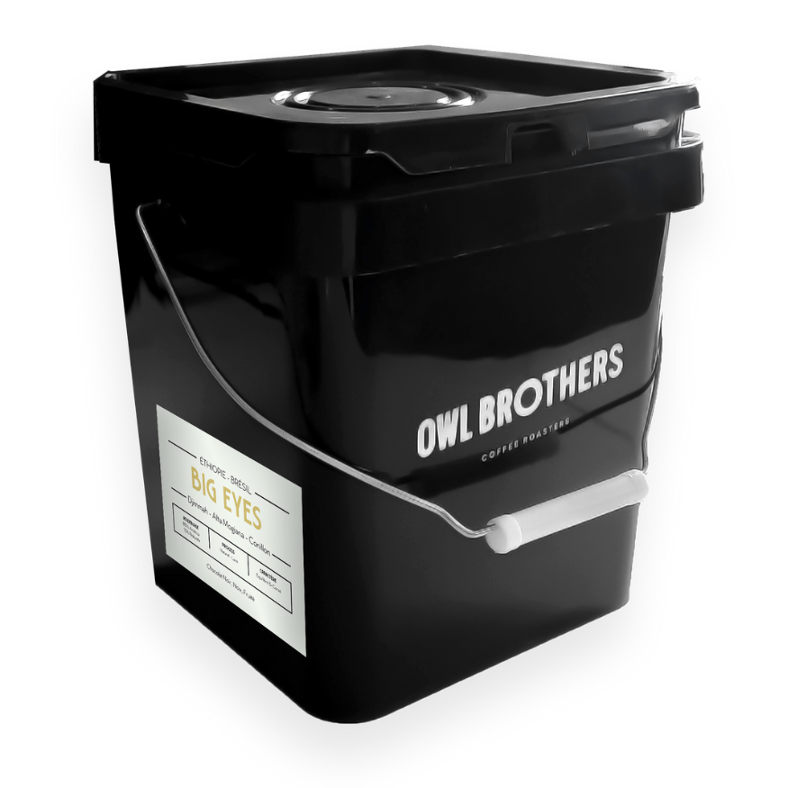 Owl Brothers - Big Eyes - Café en Grain